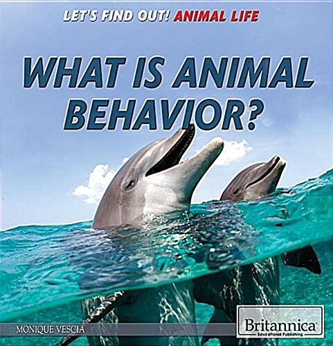 What Is Animal Behavior? (Paperback)