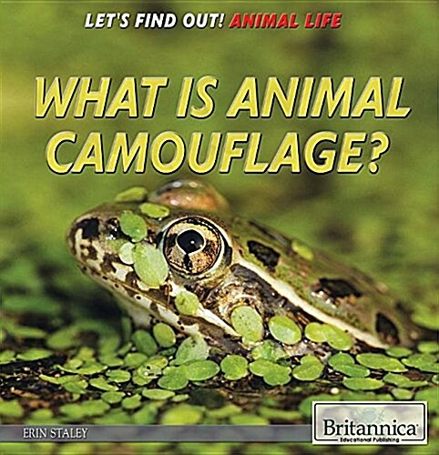 What Is Animal Camouflage? (Library Binding)