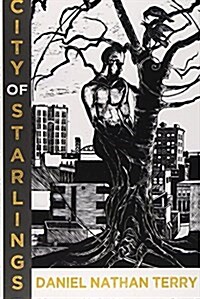 City of Starlings (Paperback)