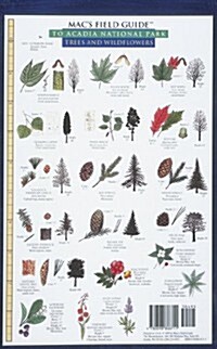 Macs Field Guides: Acadia National Park (Paperback)