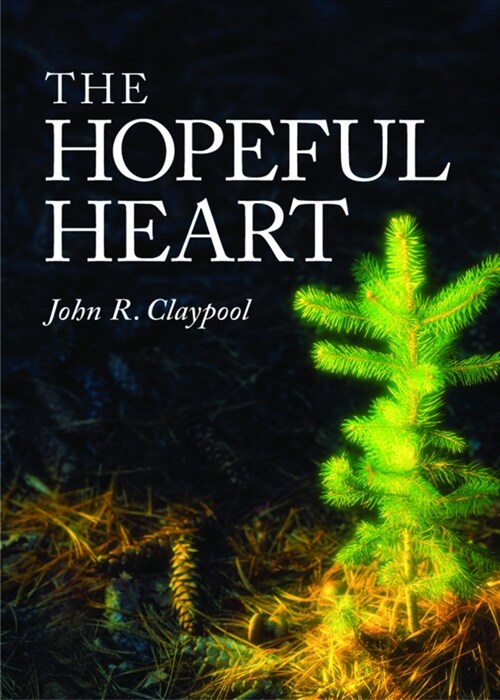 The Hopeful Heart (Paperback)