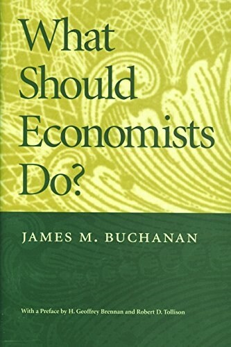 What Should Economists Do? (Paperback)