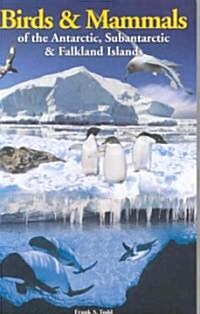 Birds & Mammals of the Antarctic, Subantarctic & The Falkland Islands (Paperback, 1st)