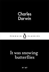 It Was Snowing Butterflies (Paperback)
