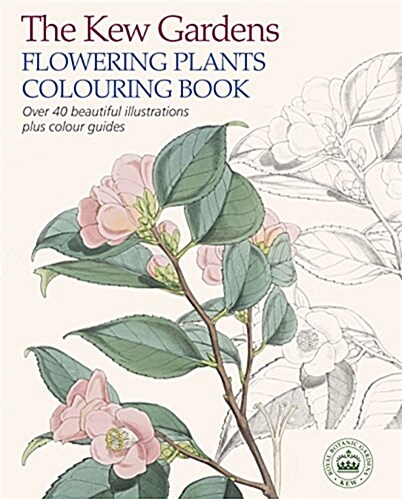 The Kew Gardens Flowering Plants Colouring Book : Over 40 Beautiful Illustrations Plus Colour Guides (Paperback)