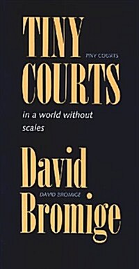 Tiny Courts in a World Without Scales (Paperback)