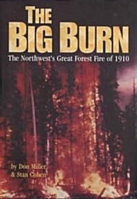 Big Burn (Paperback, 1993)