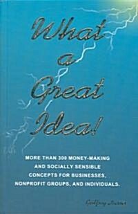 What a Great Idea!: More Than 300 Money-Making and Socially Sensible Concepts for Businesses, Nonprofit Groups, and Individuals                        (Paperback)