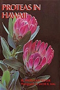 Protease in Hawaii (Paperback)