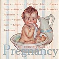 The Little Big Book of Pregnancy (Hardcover, 1st)