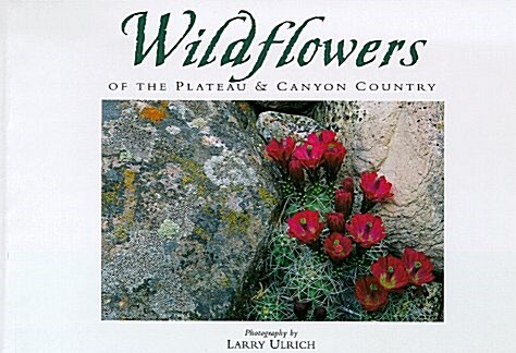 Wildflowers of the Plateau & Canyon Country: Twenty Postcards (Novelty)