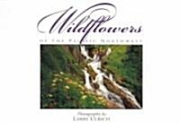 Wildflowers of the Pacific Northwest: Twenty Postcards (Novelty)