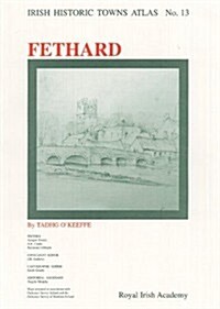 Irish Historic Towns Atlas No. 13: Fethardvolume 13 (Paperback)