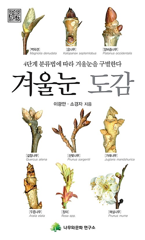 겨울눈 도감 : 4단계 분류법에 따라 겨울눈을 구별한다 표지이미지