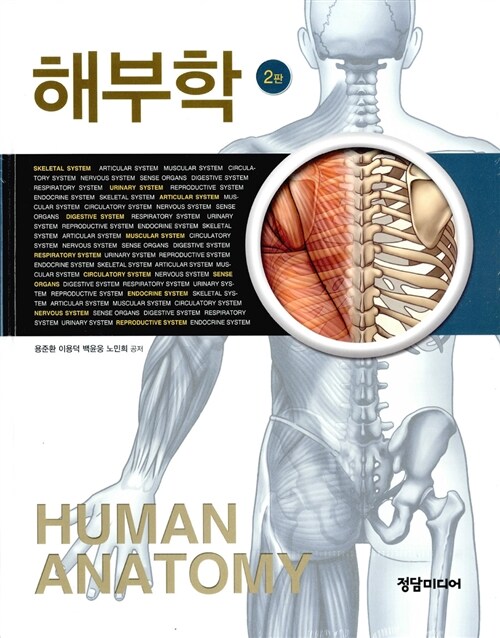 해부학 (용준환 외)