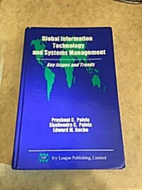 Global Information Technology and Systems Management (Hardcover)