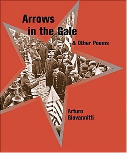 Arrows in the Gale & Other Poems (Paperback)