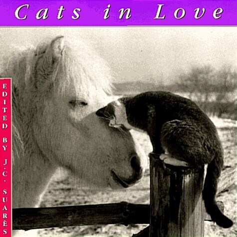 Cats In Love (Hardcover)