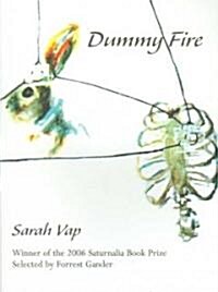 Dummy Fire (Paperback)