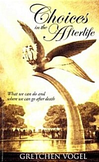 Choices in the Afterlife: What We Can Do & Where We Can Go After Death (Paperback)