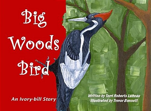 Big Woods Bird: An Ivory-Bill Story (Paperback)