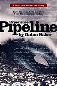 Experience Pipeline (Paperback, 1st)