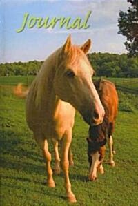 Horse Sense Journal (Paperback)