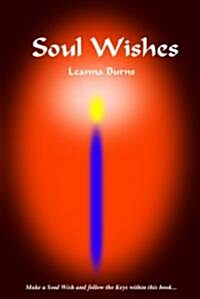 Soul Wishes (Paperback)