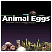 Animal Eggs: An Amazing Clutch of Mysteries and Marvels (Hardcover)