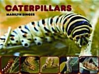 Caterpillars (Hardcover)