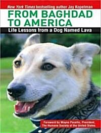 From Baghdad to America: Life Lessons from a Dog Named Lava (MP3 CD)