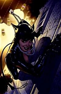 Catwoman: the Long Road Home (Paperback)