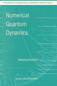 Numerical Quantum Dynamics (Hardcover, 2002)