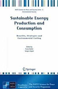 Sustainable Energy Production and Consumption: Benefits, Strategies and Environmental Costing (Paperback, 2008)