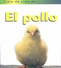 El Pollo/Chicken (Paperback)