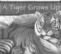 (A)Tiger Grows Up 표지이미지
