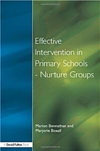 Effect Intervention in Primary School (Paperback)