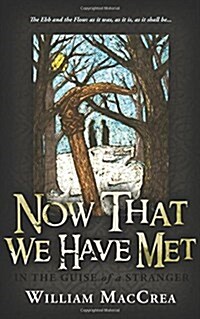 Now That We Have Met: In the Guise of a Stranger (Paperback)