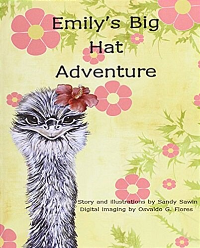 Emilys Big Hat Adventure (Paperback)