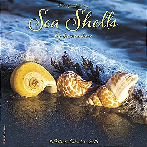 Sea Shells Calendar (Wall, 2016)
