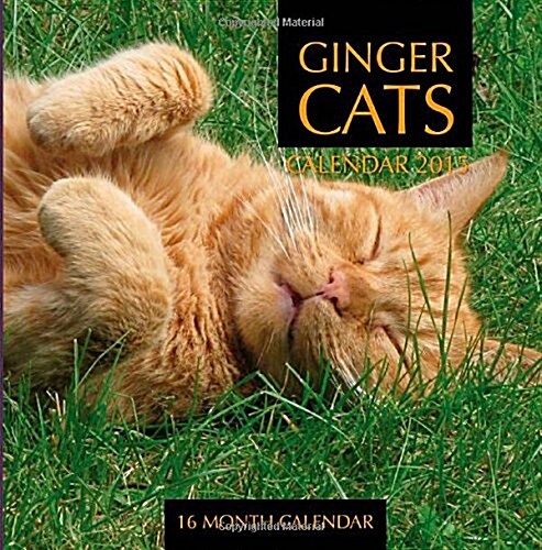 Ginger Cats Calendar 2015: 16 Month Calendar (Paperback)