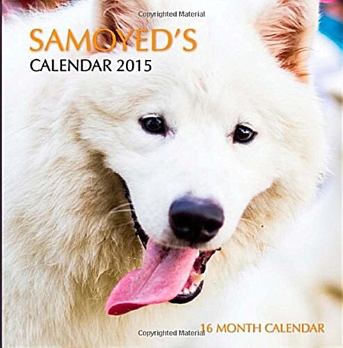 Samoyed Calendar 2015: 16 Month Calendar (Paperback)