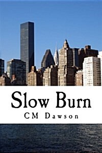 Slow Burn (Paperback)