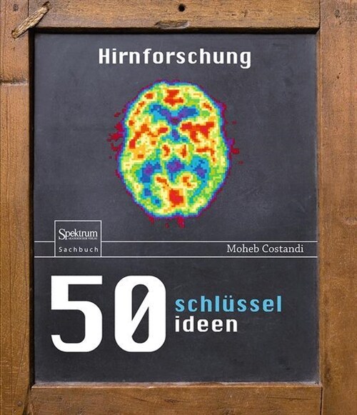 50 Schl?selideen Hirnforschung (Hardcover, 2015)