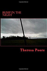 Bump in the Night (Paperback)