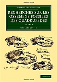 Recherches sur les ossemens fossiles des quadrupedes (Paperback)