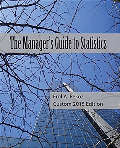 The Managers Guide to Statistics (Paperback)