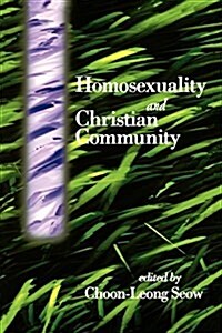 Homosexuality and Christian Community (Paperback)