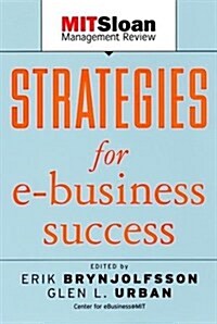 Strategies for E-Business Success (Paperback)