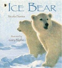 Ice Bear (Paperback)
